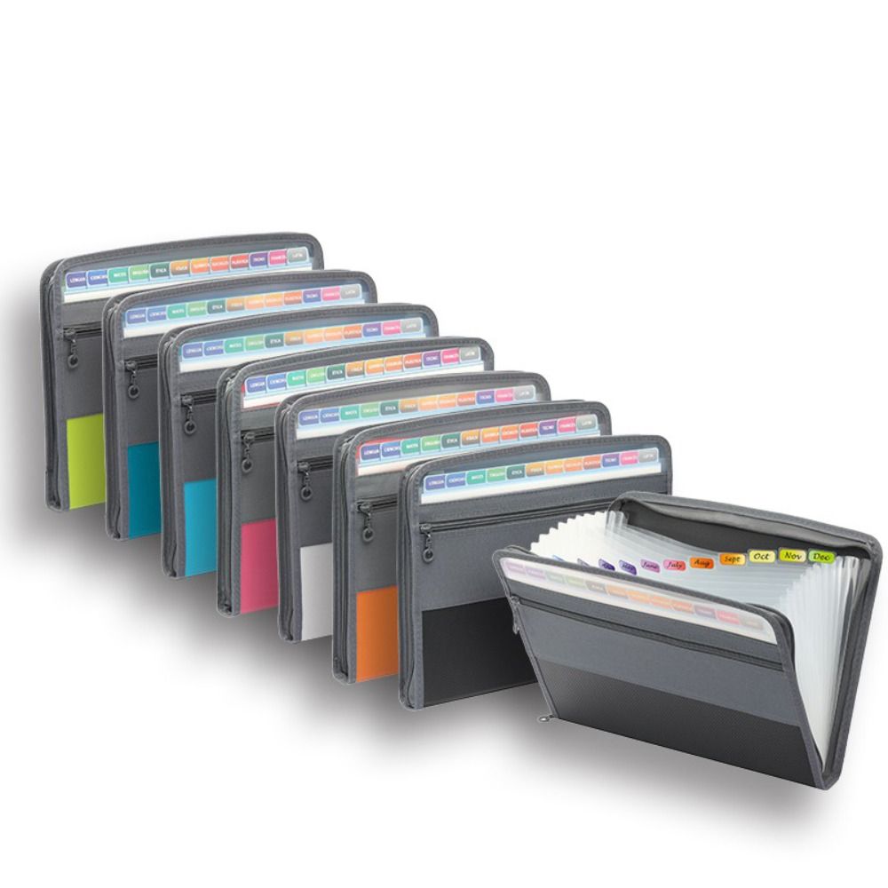 Organizzatore di Documenti Esp - Expandable Accordion File Folder 13 Pockets recensione e prezzo